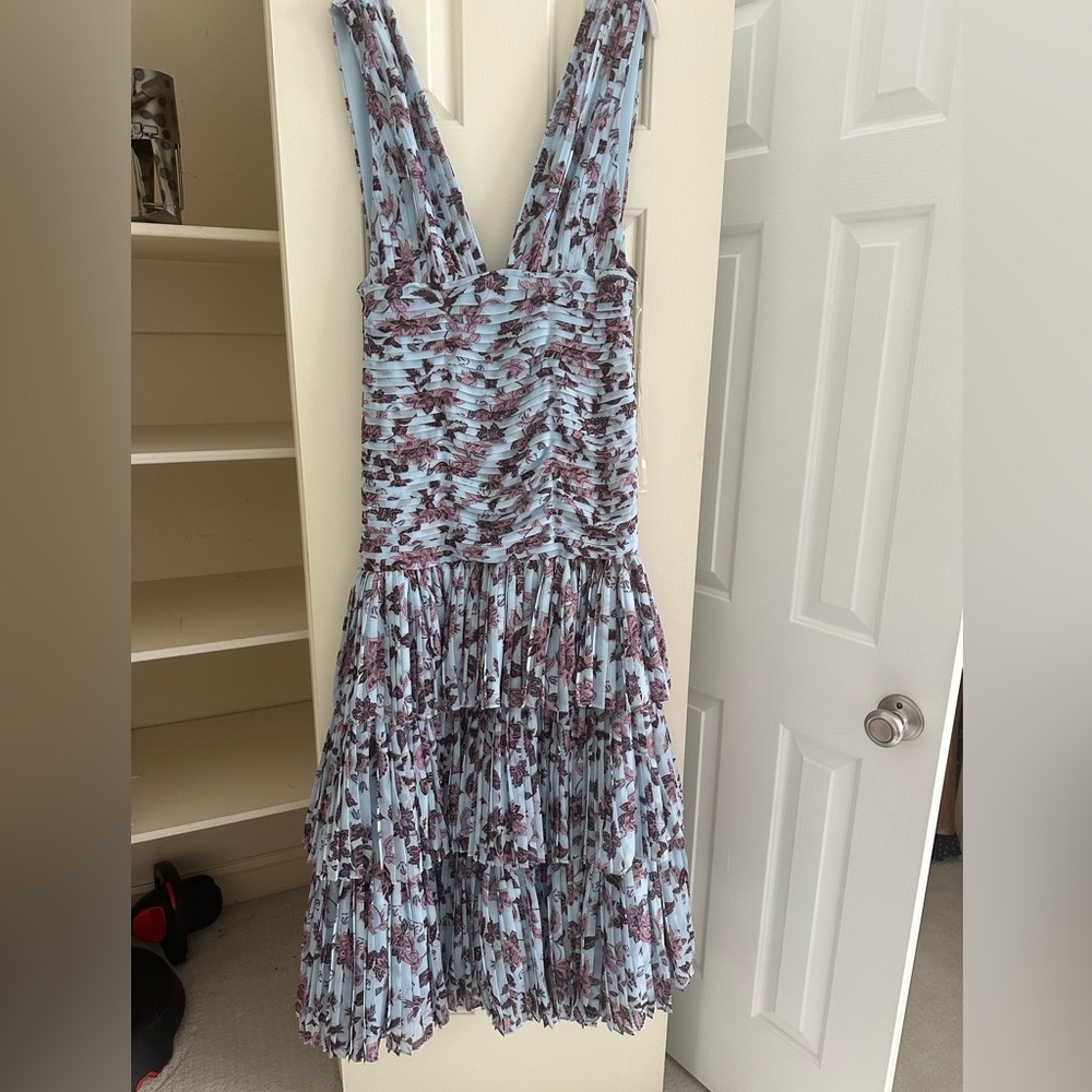 Fame and Partners Dress